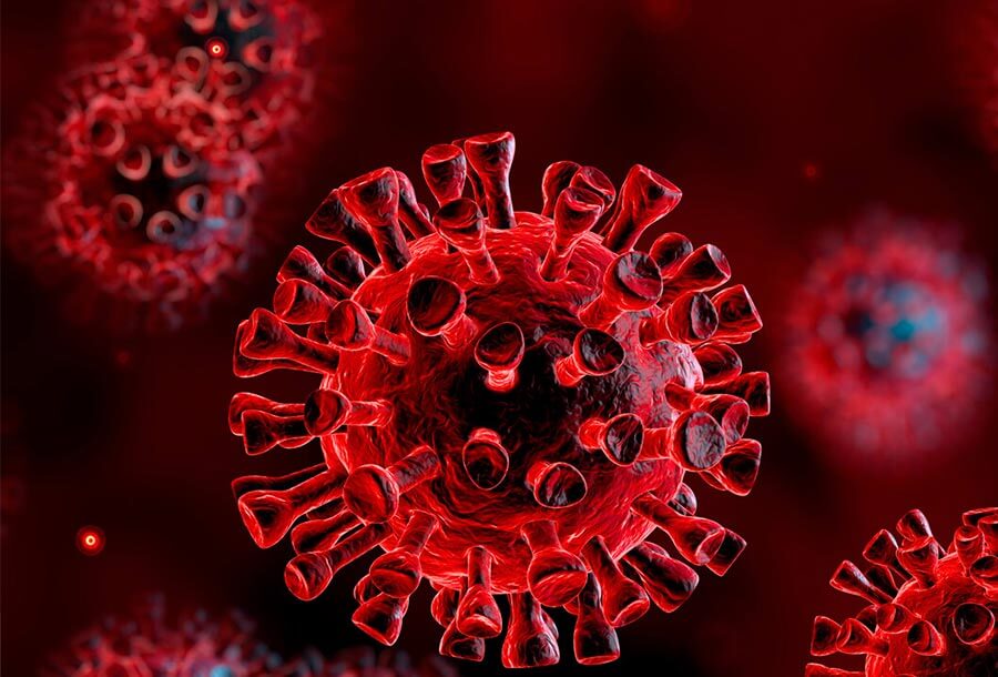 Corona virus and Government financial and job assistance for Temporary Visa Holders - Study in Pty Ltd Immigration Agency & Education Firm in Melbourne, Australia